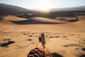 Desert Castle Routes: Forgotten Fortresses of Arabia