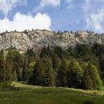 Virtual Justice Platforms: Online Court Solutions