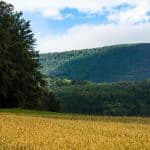 Smart Legal Contracts: Blockchain Revolution