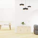 Passive House Revolution: Ultra-Efficient Living Spaces