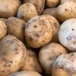 The Return of the Kitchen Garden: Edible Estates Trend