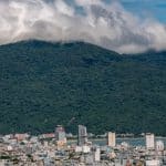 Vertical Forests: When Architecture Meets Urban Ecology