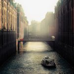 Urban Beekeeping Tours: City Honey Harvesting