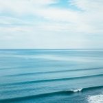 Coastal Foraging Adventures: Ocean-to-Table Experiences