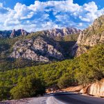 Ancient Tea Ceremonies: Traditional Rituals Across Asia